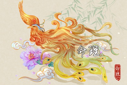择吉黄历每日宜忌 择吉日查询 择吉皇历